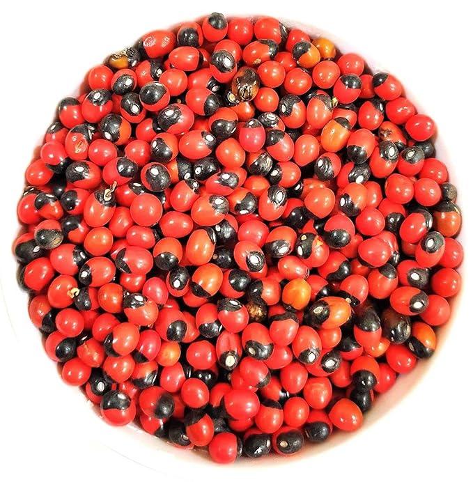 Natural Rakt Gunja Beej, Lal Gunja, Set of 151 Pcs