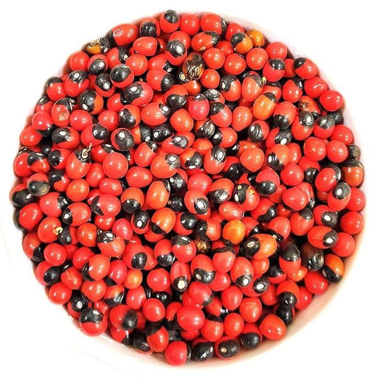 Natural Rakt Gunja Beej, Lal Gunja, Set of 151 Pcs