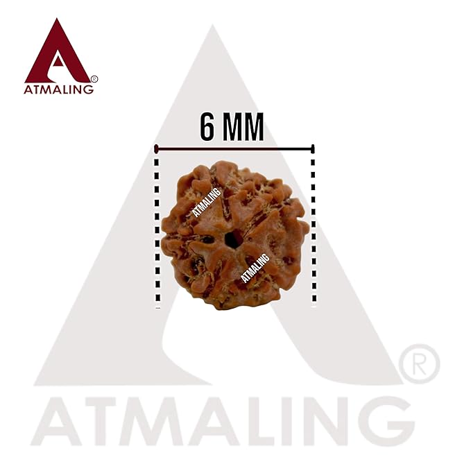 5 Mukhi Rudraksha Mala ( 6mm - 108 Beads )