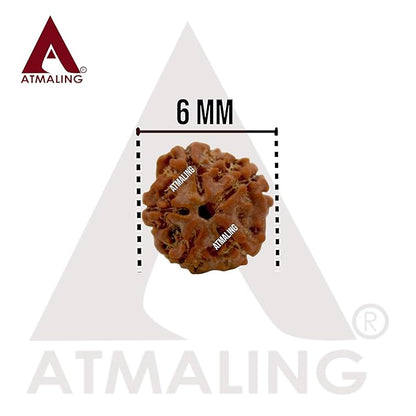 5 Mukhi Rudraksha Mala ( 6mm - 108 Beads )